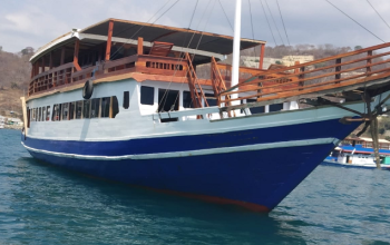 komodo trip from lombok, komodo island boat tour 3 days, komodo tour packages, komodo boat tour packages, komodo tour packages, komodo boat tour 4 days 3 nights, komodo island luxury boat, best komodo boat tour