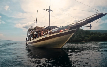 Komodo Tour, Komodo Tourism, Holiday on Komodo Island, Cheapest Komodo Tour Packages 2025, Komodo boats Tour, Luxury Cruise