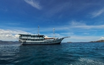 Komodo boat Trip from-lombok to komodo national park tours, komodo tour,, komodo tour package, tour to komodo,, komodo tour
