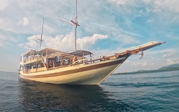 Luxury Komodo Tour 4D3N from Labuan Bajo Flores to Lombok, explore Komodo dragons, pink beaches, and stunning islands aboard an exclusive cruise.