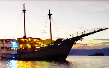 Labuan Bajo to Lombok luxury cruise every Tuesday, explore Komodo dragons, whale sharks, and hidden paradise islands in Indonesia.
