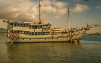 Gilis Snorkeling tour, Komodo tour, Rinjani trekking. Visa & Imigration Service, Helicopter Charter, Speed boat Charter