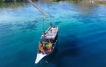 Lombok to Komodo 4D3N luxury cruise exploring Komodo dragons, pink beaches, whale sharks, and hidden islands from Lombok to Labuan Bajo in comfort.
