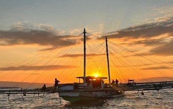 Whale Shark Tour 2 Days 1 Night from Lombok to Sumbawa — swim with gentle whale sharks in Saleh Bay and explore Indonesia’s breathtaking marine adventure.”