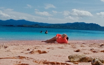 komodo island tour, komodo national park tours, komodo tour, komodo island tours, komodo tour package, tour to komodo, komodo