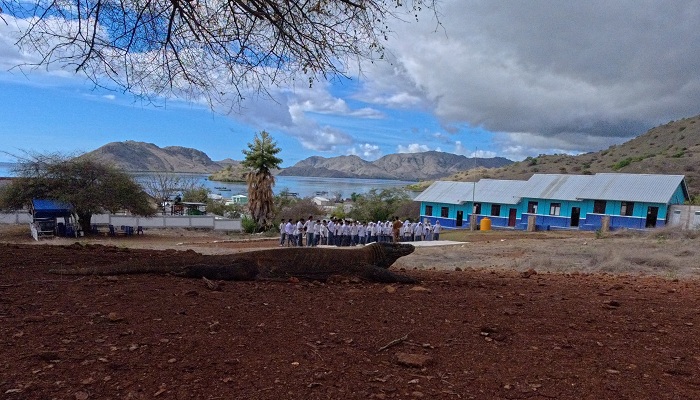 komodo island tour, komodo national park tours, komodo tour, komodo island tours, komodo tour package, tour to komodo, komodo