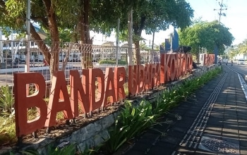 Labuan Bajo Flores, Labuan Bajo Travel, komodo Tour, Komodo National Park tour, Private Komodo Tour, Komodo Island tour