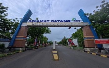 lombok komodo tour, cruise lombok, komodo tour from bali, komodo island tour from lombok,lombok komodo boat trip