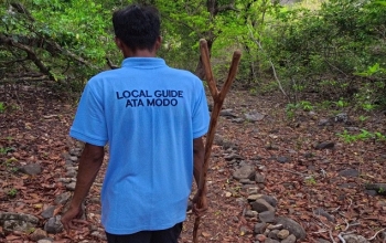 komodo tour, cruise komodo, komodo luxury cruise, komodo cruises, luxury komodo cruise, komodo cruise, komodo boat trip