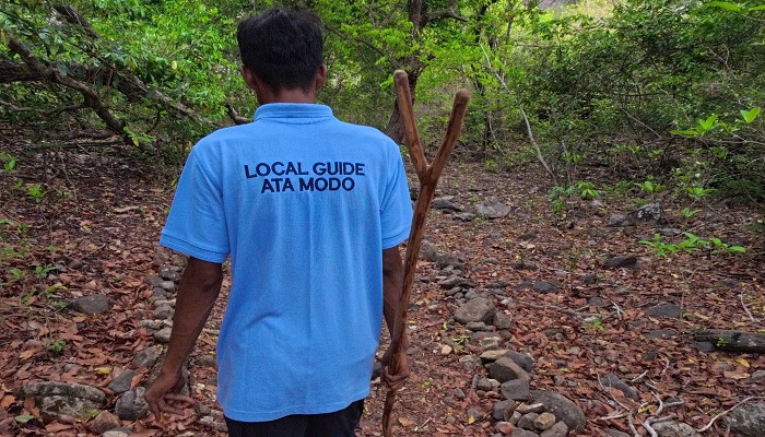 komodo tour, cruise komodo, komodo luxury cruise, komodo cruises, luxury komodo cruise, komodo cruise, komodo boat trip