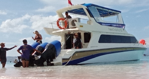 Komodo Tour, Komodo Speedboat Tour, Labuan Bajo Tour, One Day tour Komodo, One Day Komodo Speedboat Tour, Speedboat tour Komodo Island,