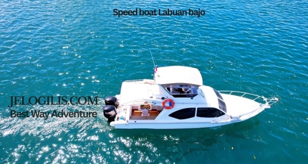 speedboat labuan bajo, charter speed boat labuan bajo, private speedboat labuan bajo, one day tour speedboat labuan bajo